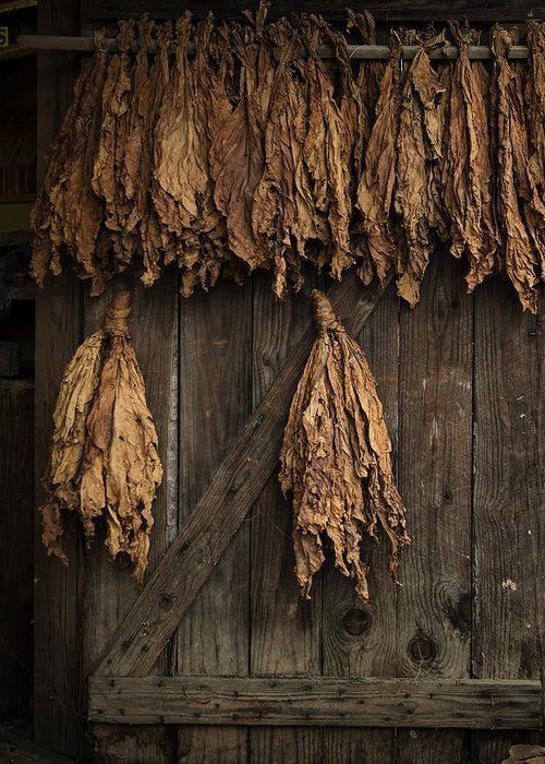 Cigarros de Santiago