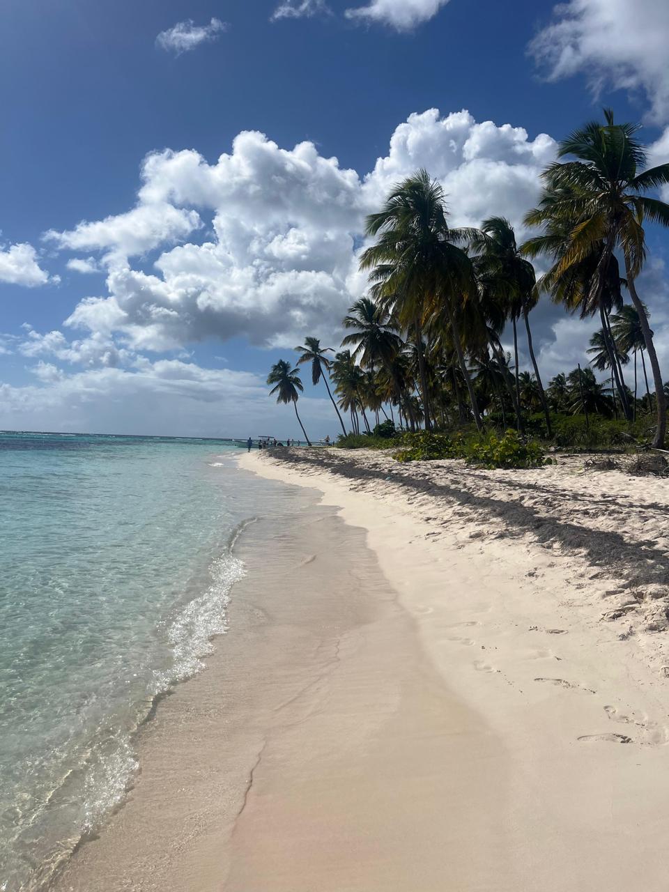 Isla Catalina — Snorkel