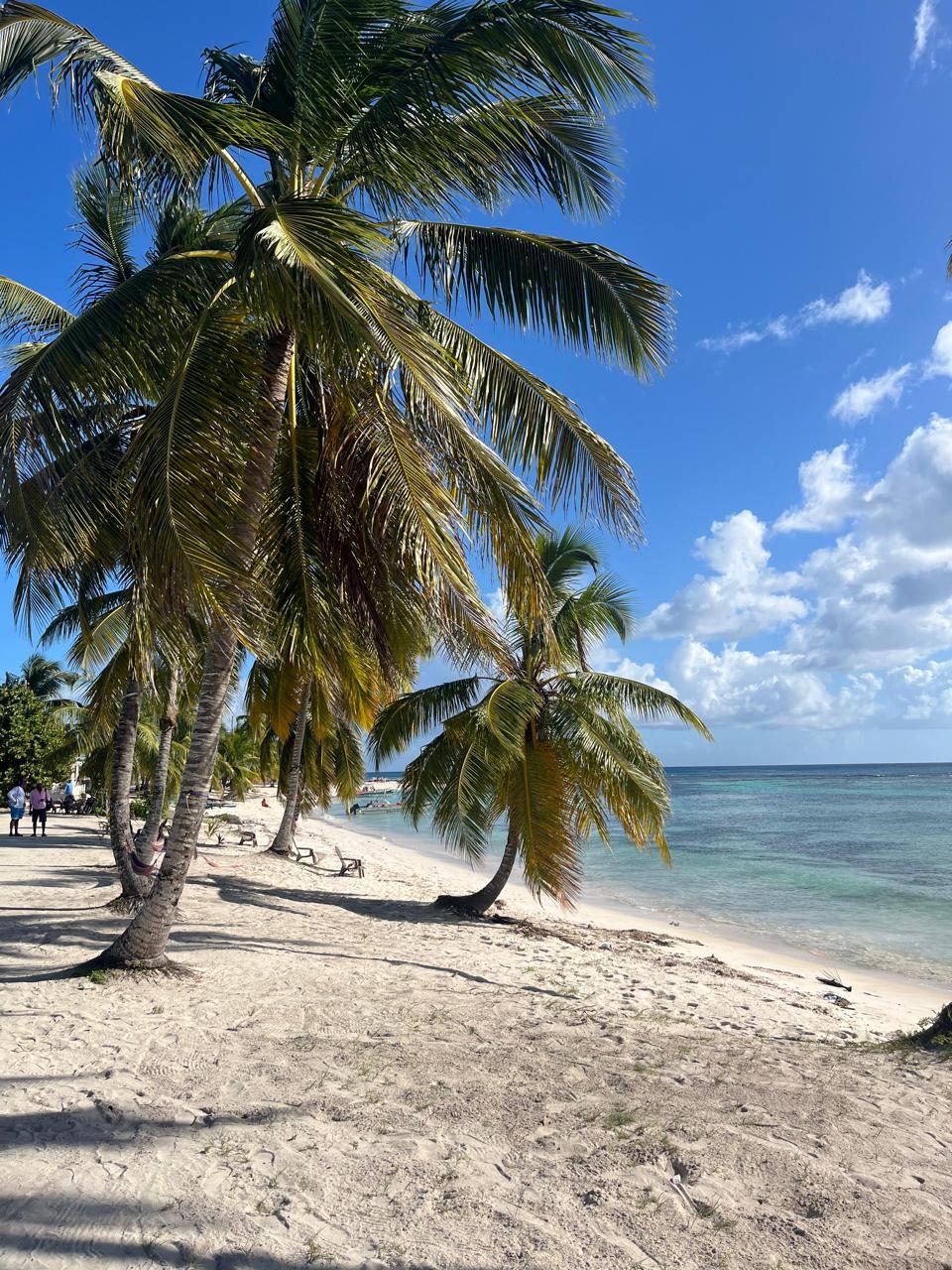 Isla Catalina — Arrecifes