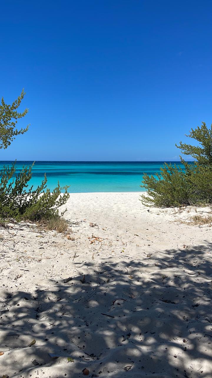Bahía de las Águilas — Arena