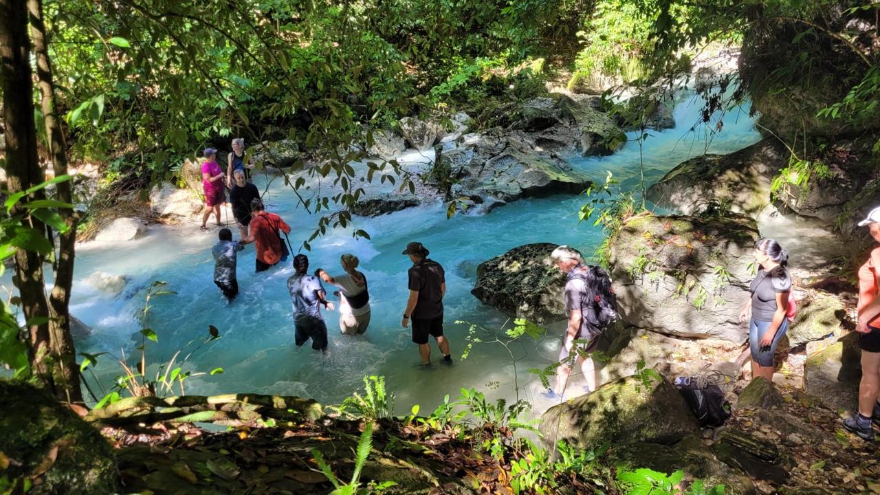 Lago Enriquillo — Fauna