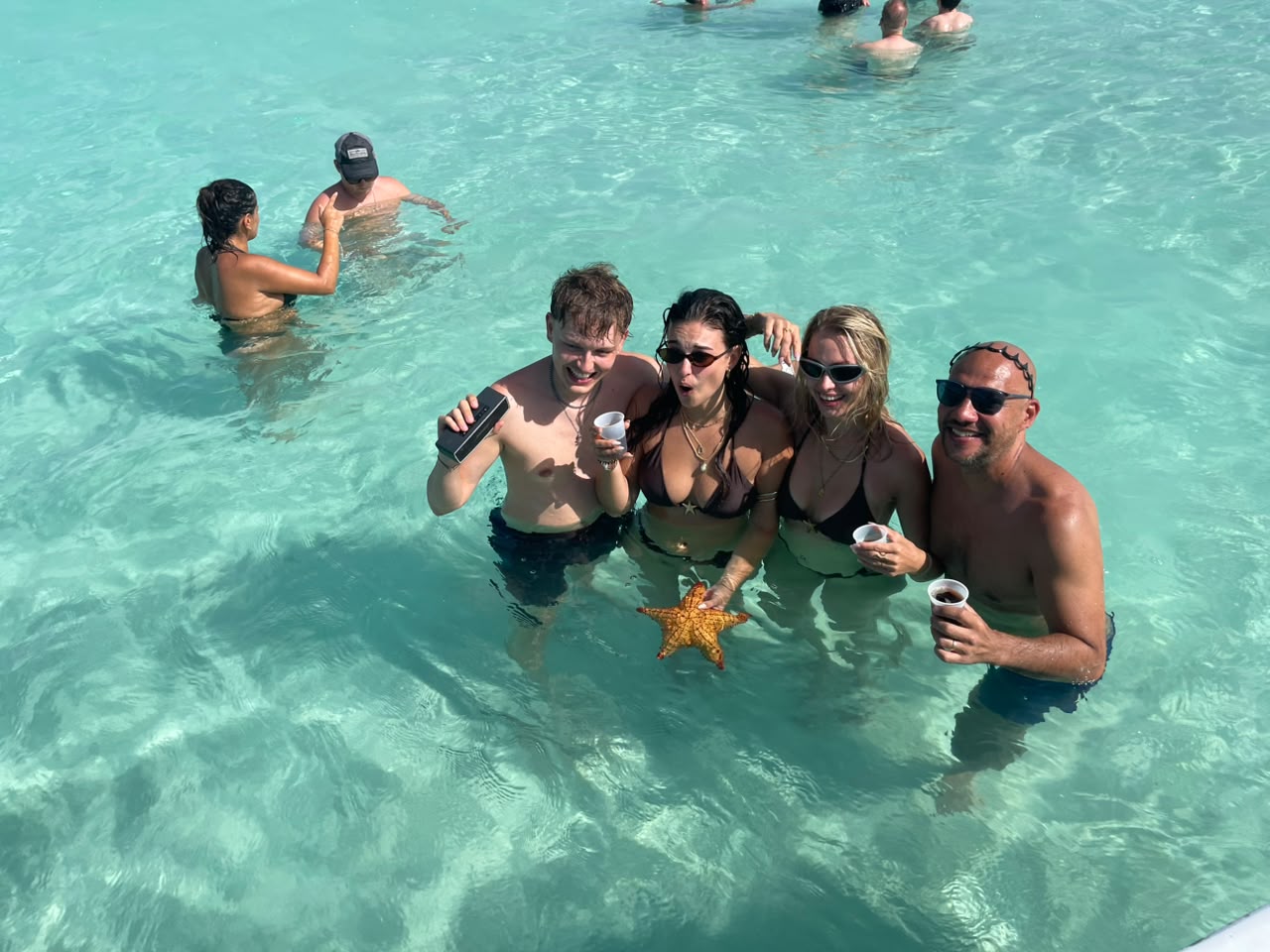 Excursion Isla Saona 12/08/26