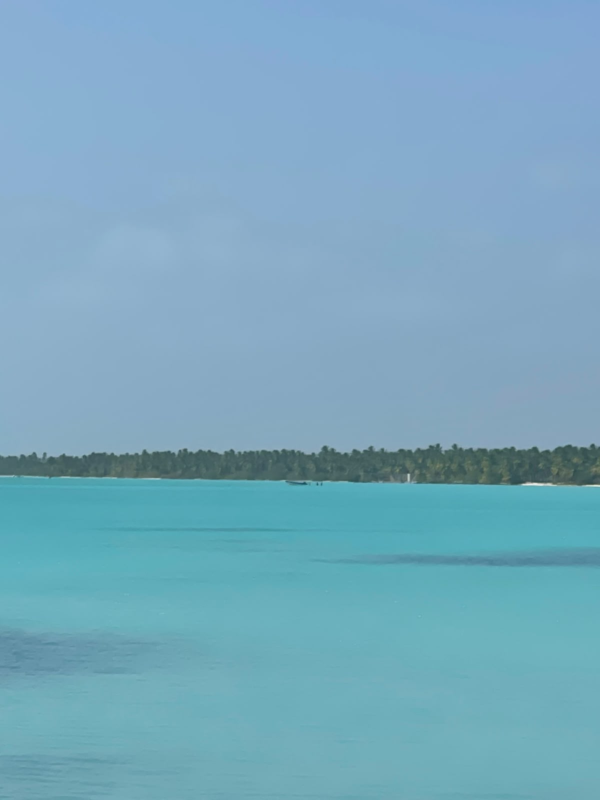 Excursion Isla Saona 12/08/26