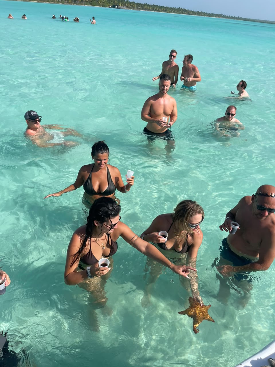 Excursion Isla Saona 12/08/26