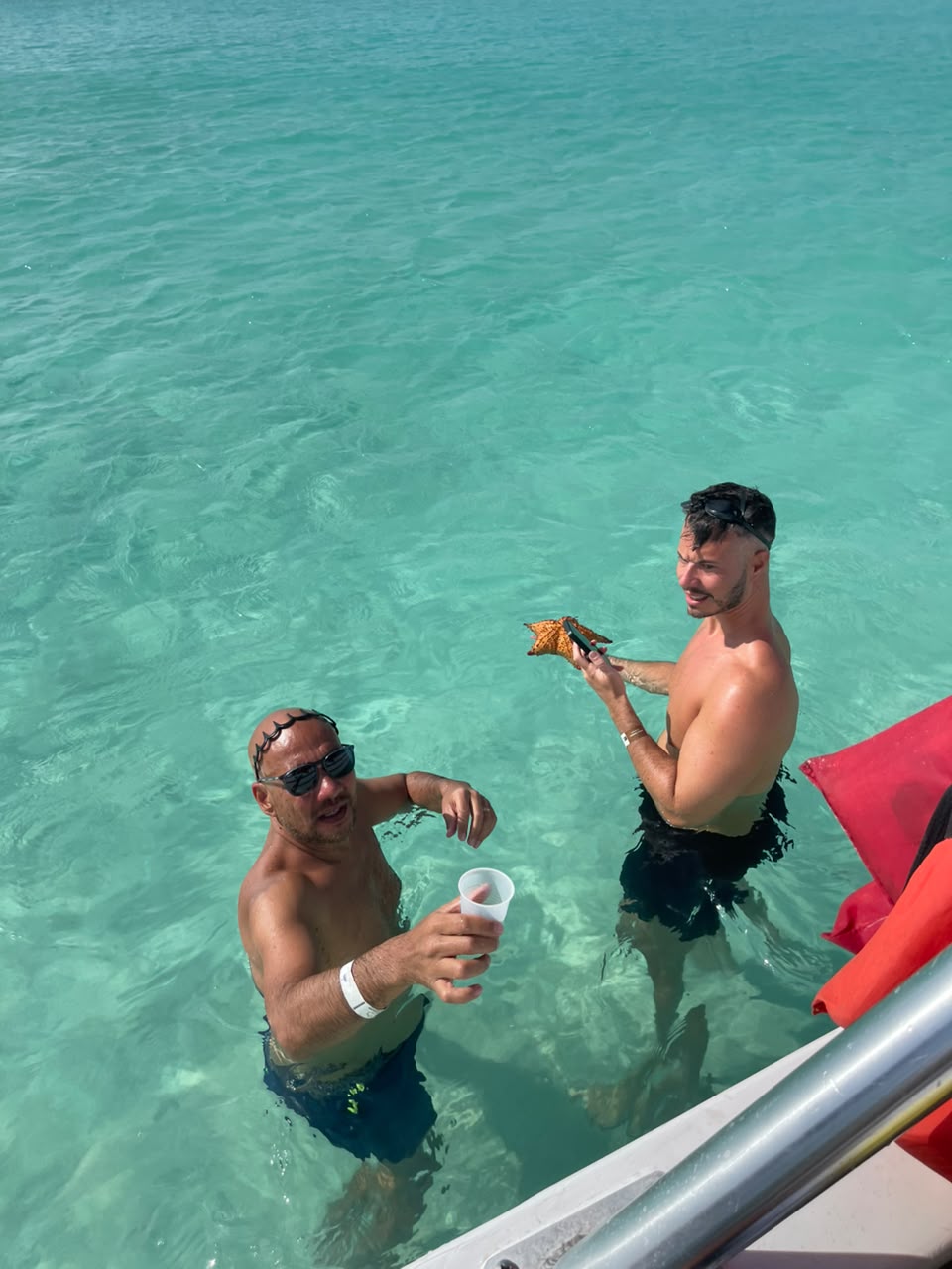 Excursion Isla Saona 12/08/26