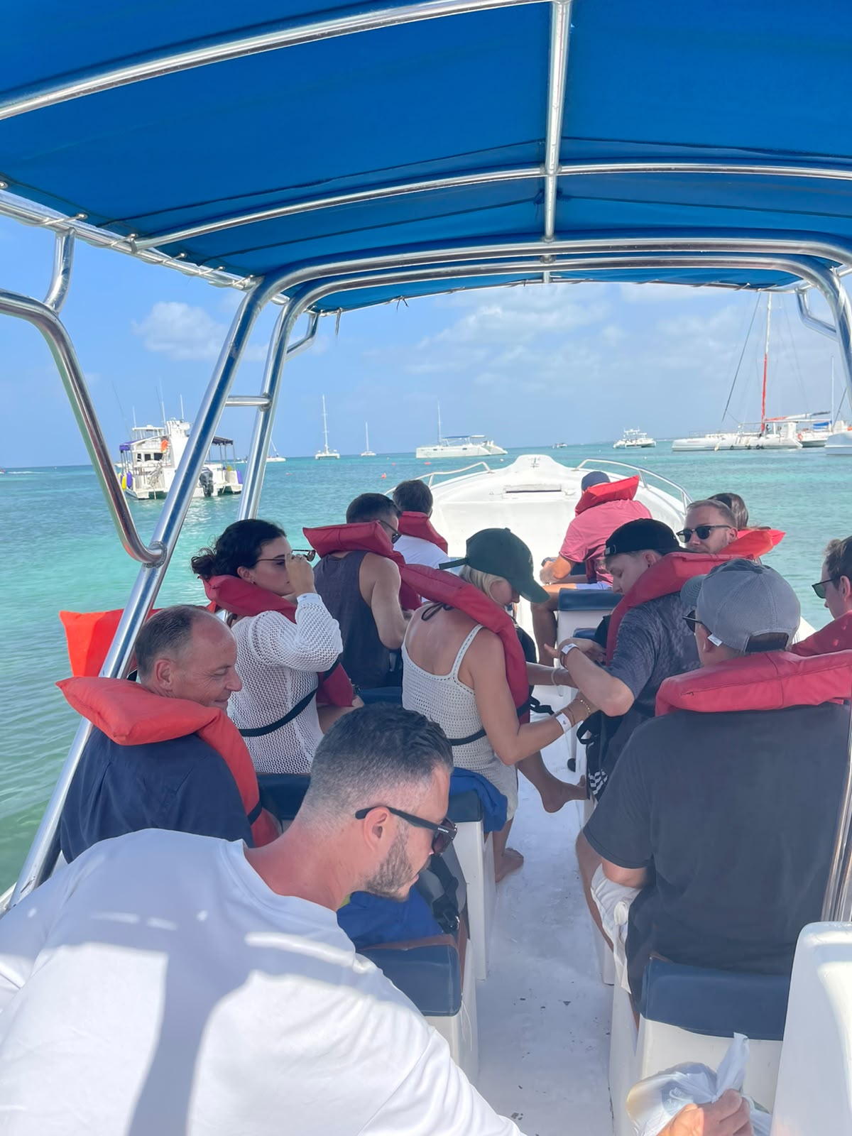 Excursion Isla Saona 12/08/26