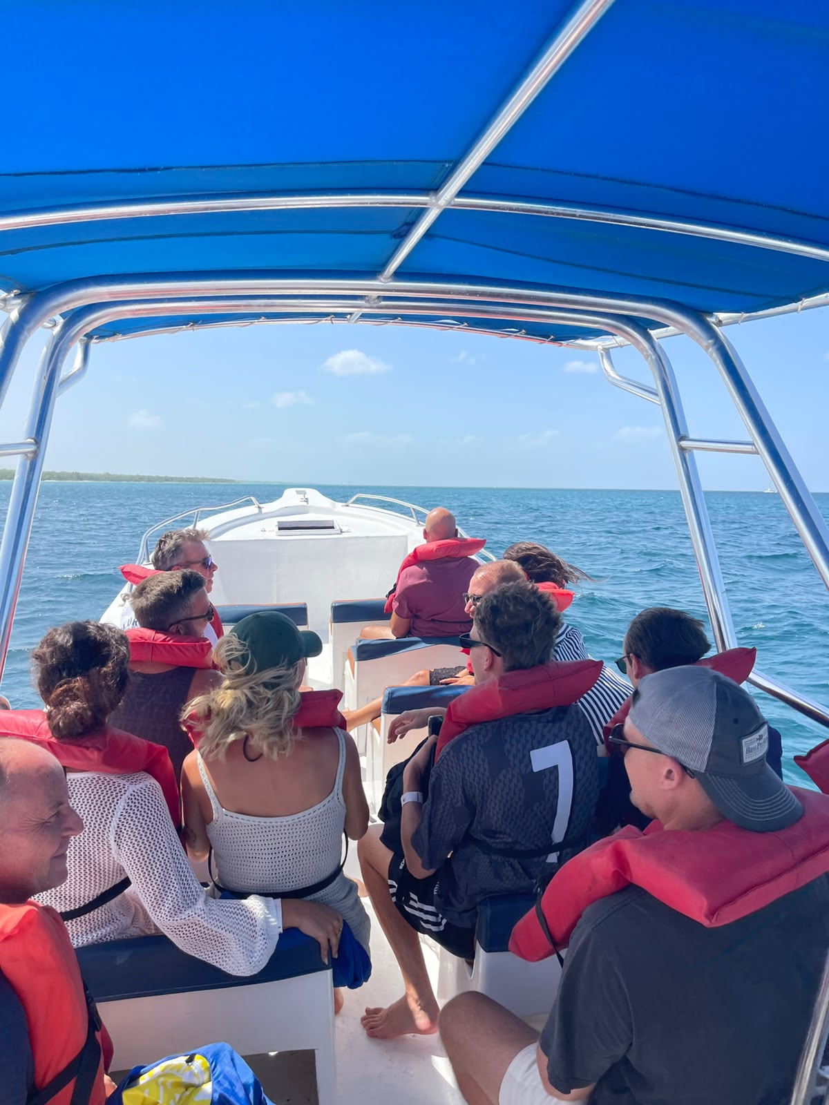 Excursion Privada Isla Saona 12/08/26