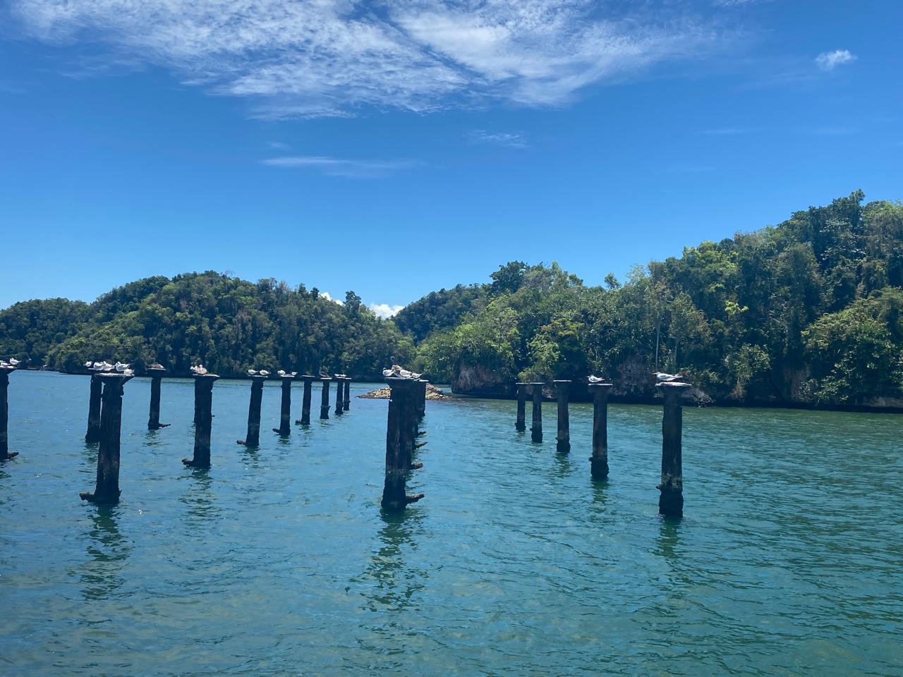 Los Haitises + Cayo Levantado