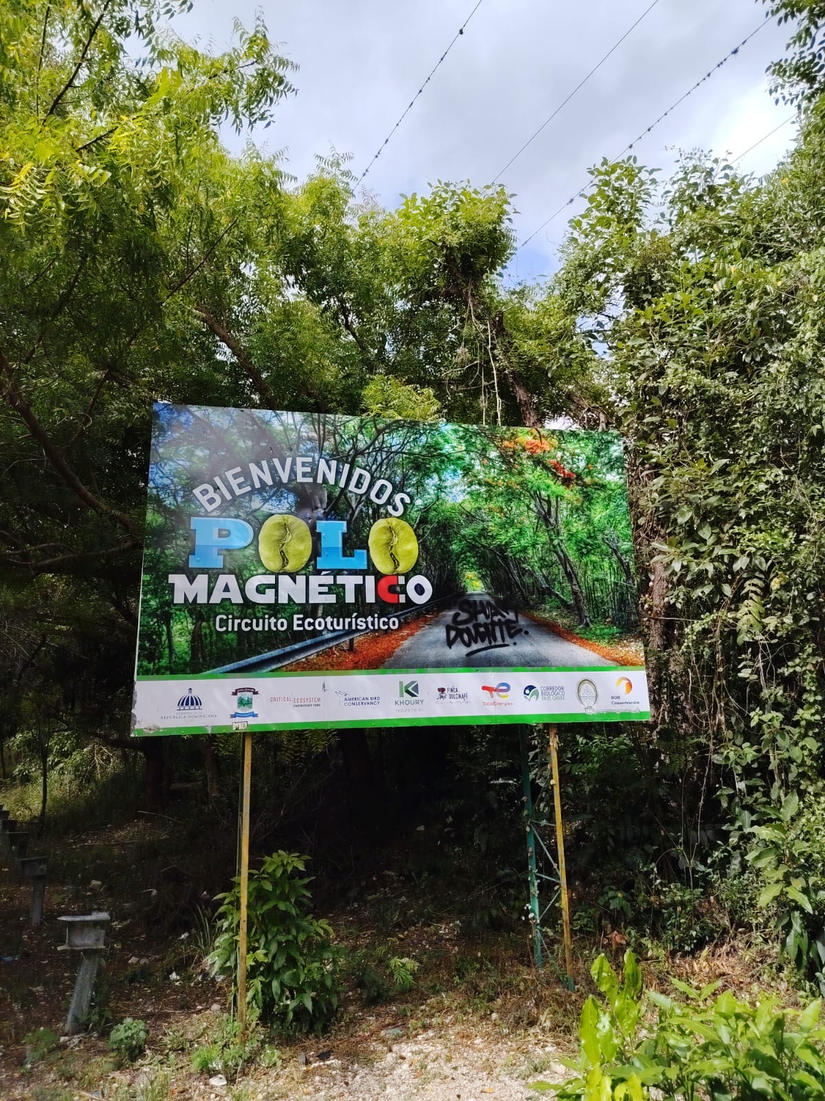 El Polo Magnético