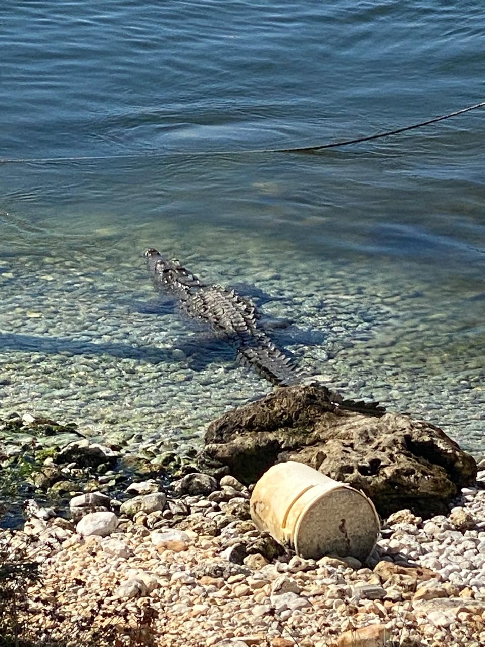 Lago Enriquillo + Caritas Taínas + Río Las Marías